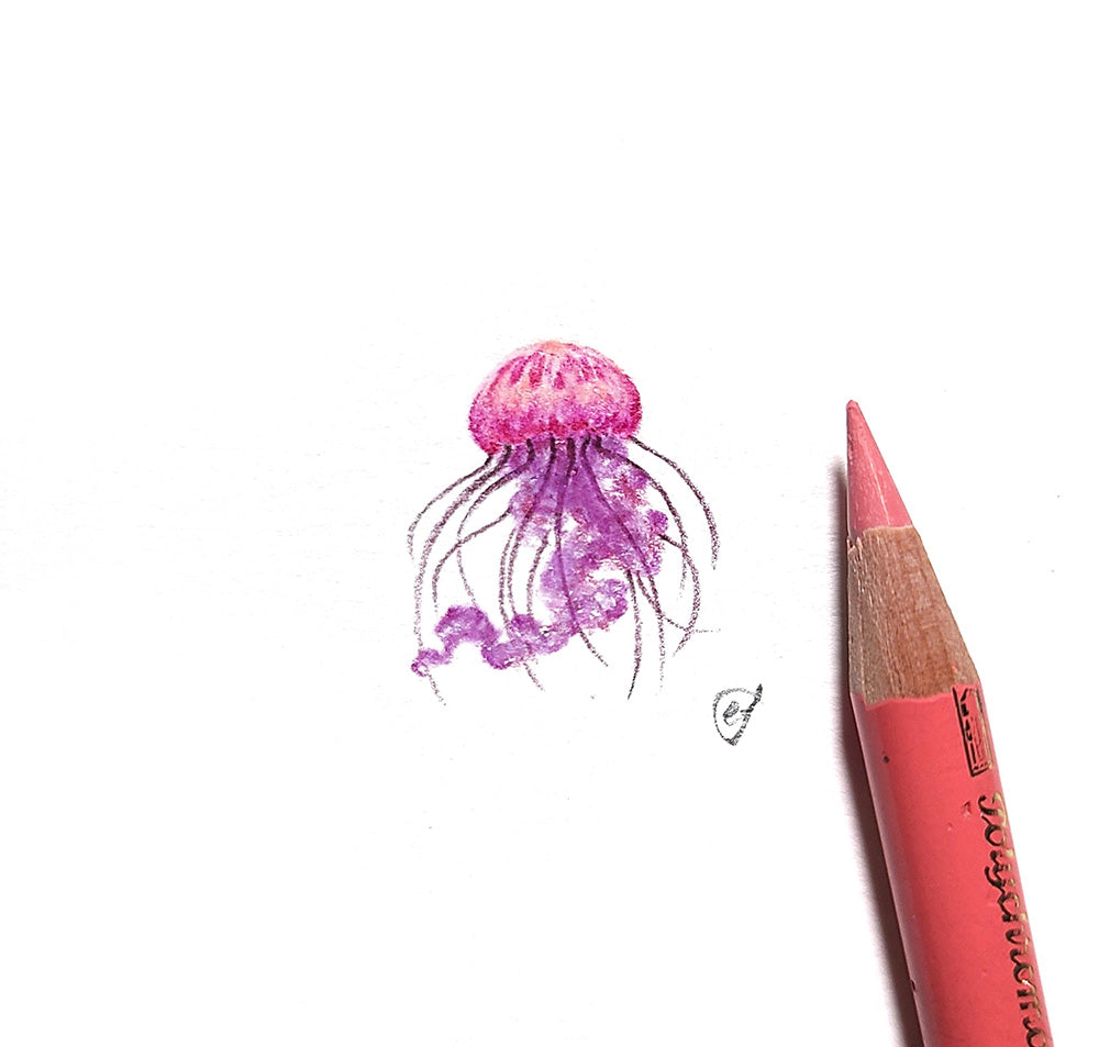 Jellyfish