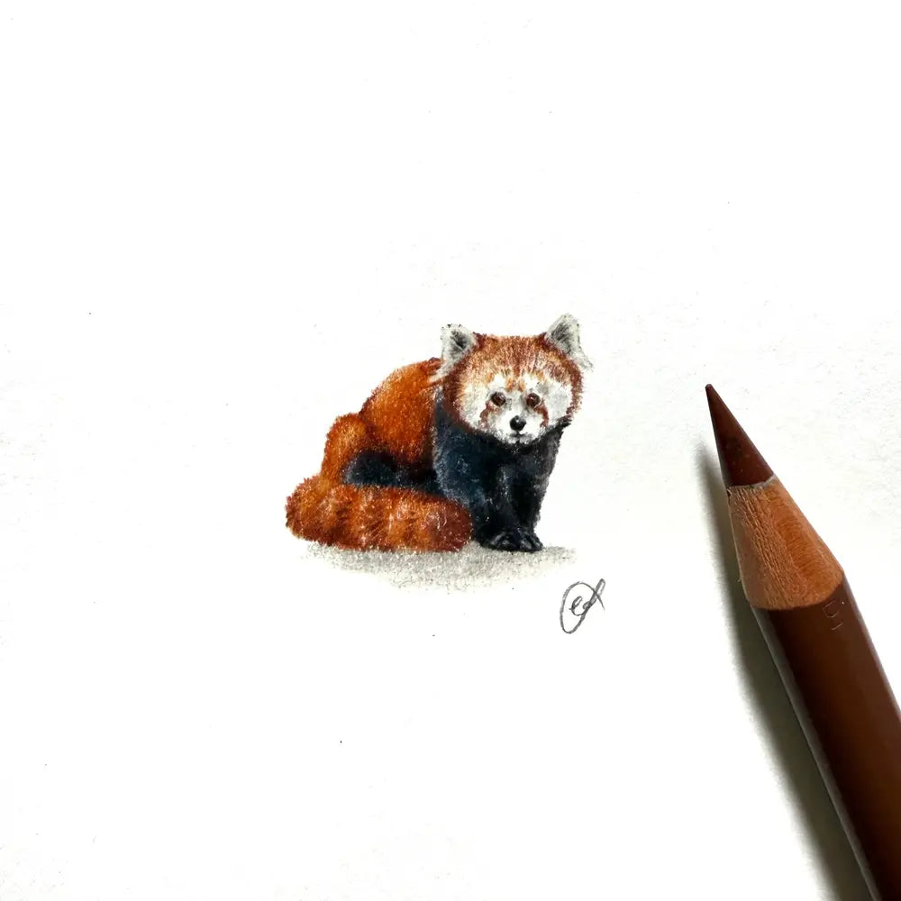 Red panda miniature #2363