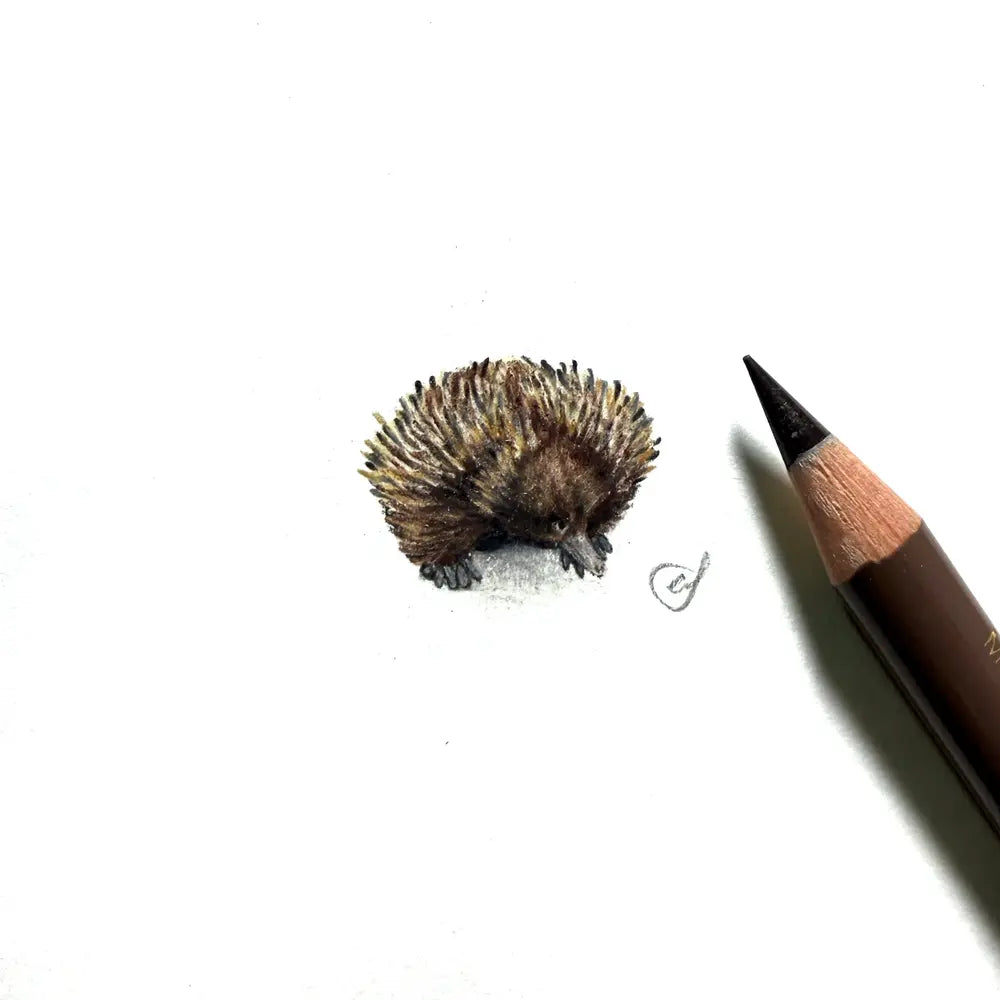 Echidna miniature #2403