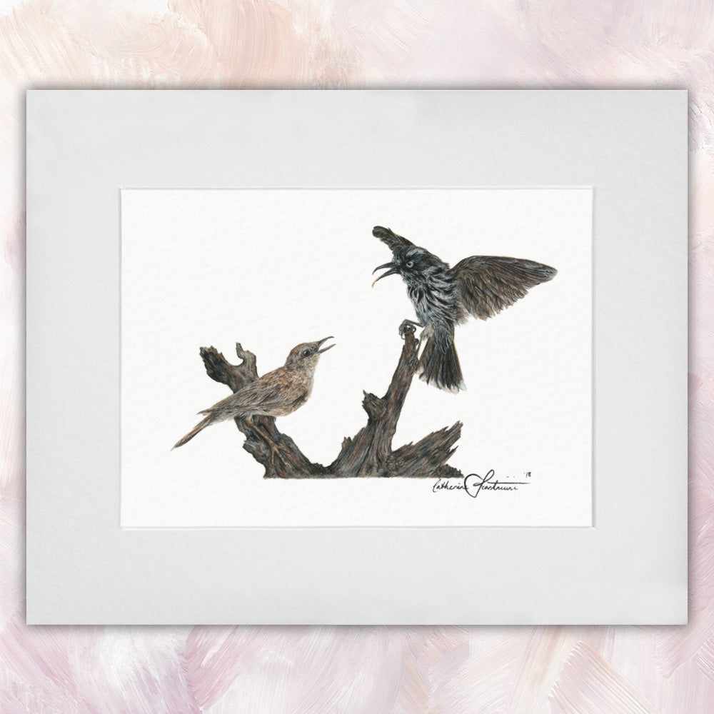 New Holland Honeyeater & Brown Songlark Original