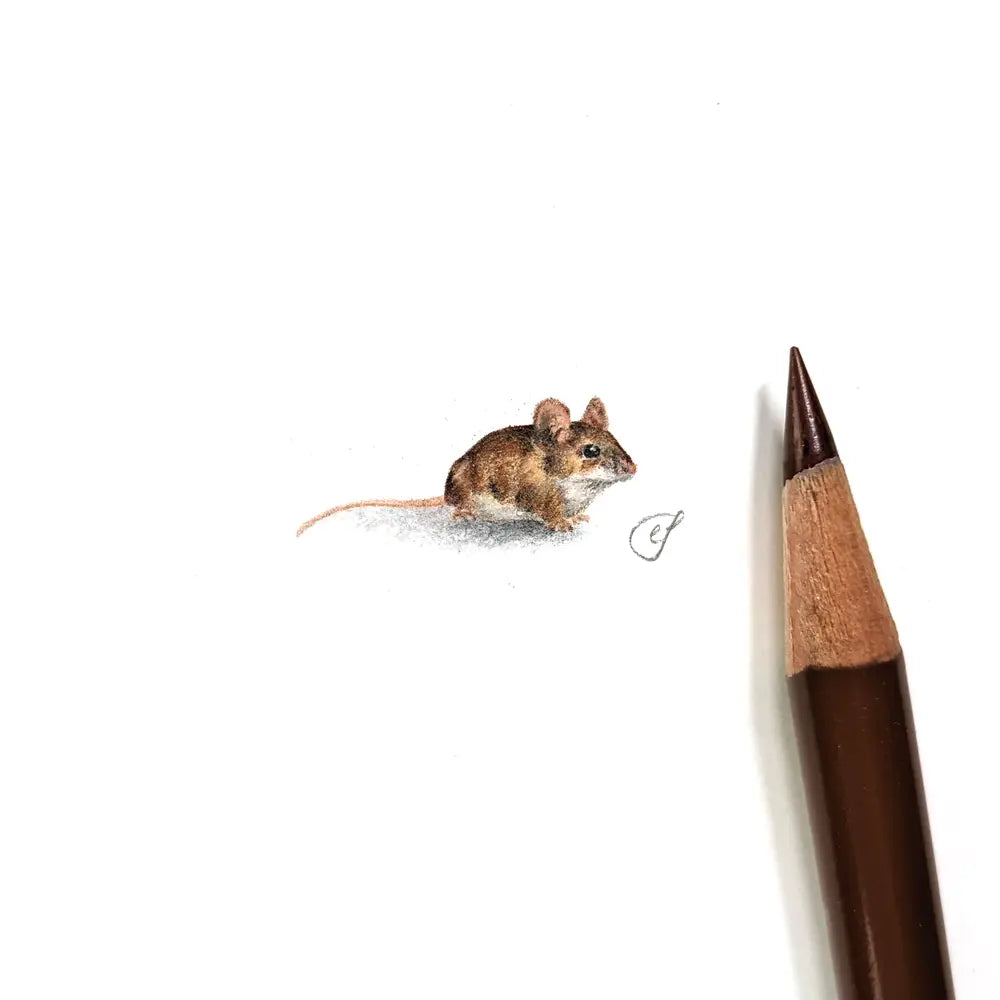 Mouse miniature #1446