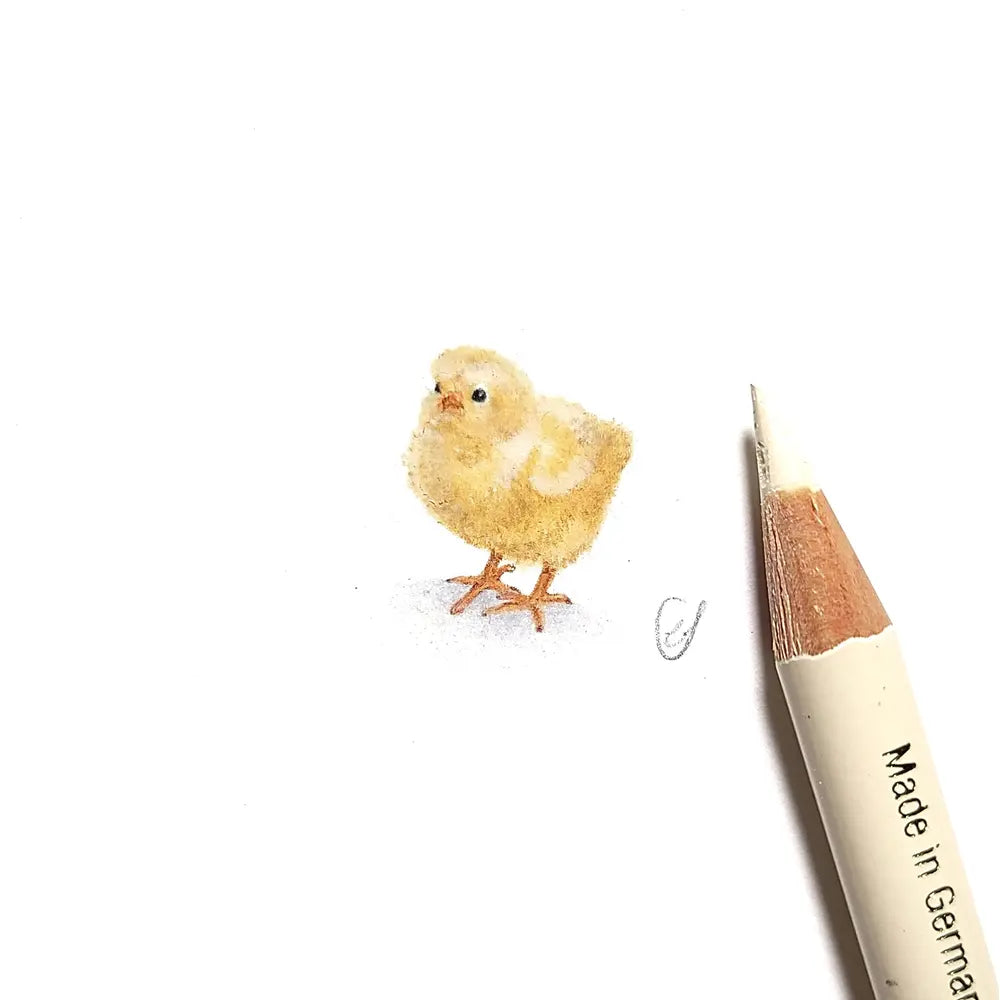 Chick miniature #1896