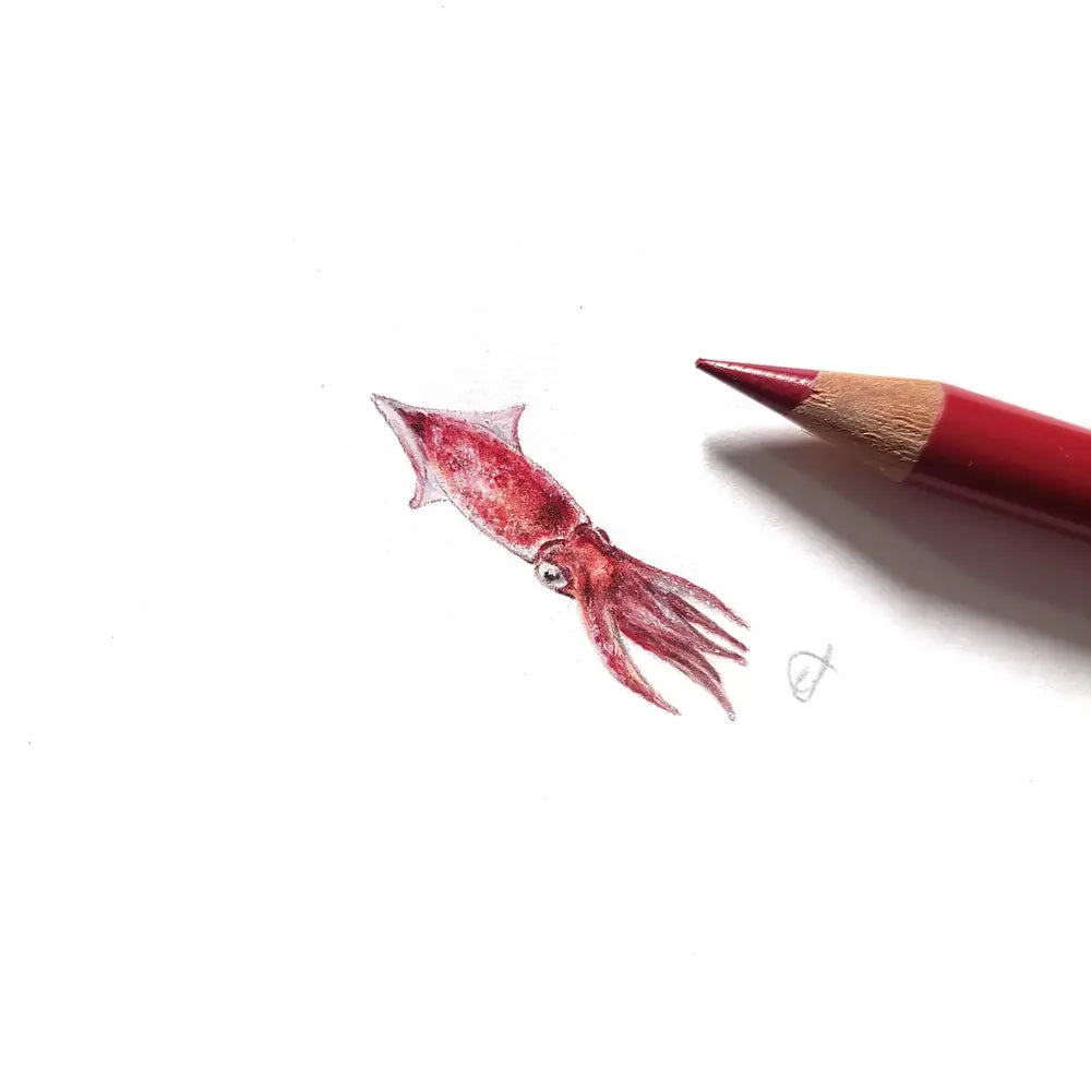 Squid miniature #2074