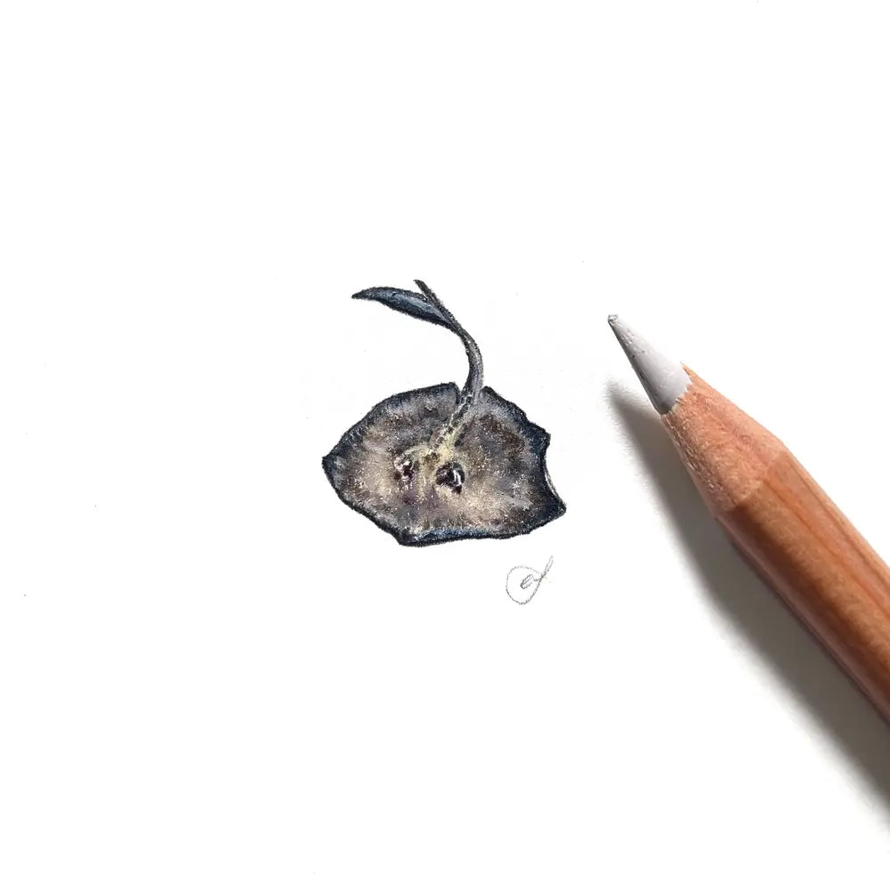 Stingray miniature #2085