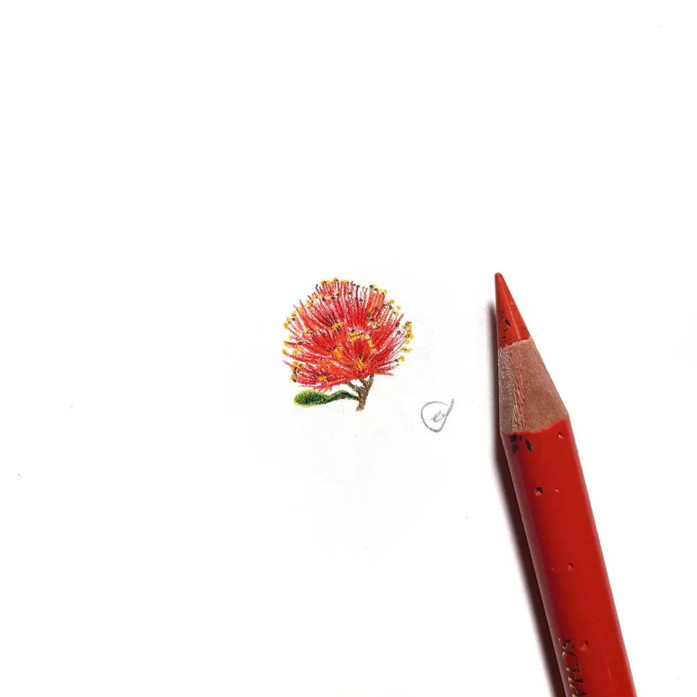 Melaleuca miniature #2266