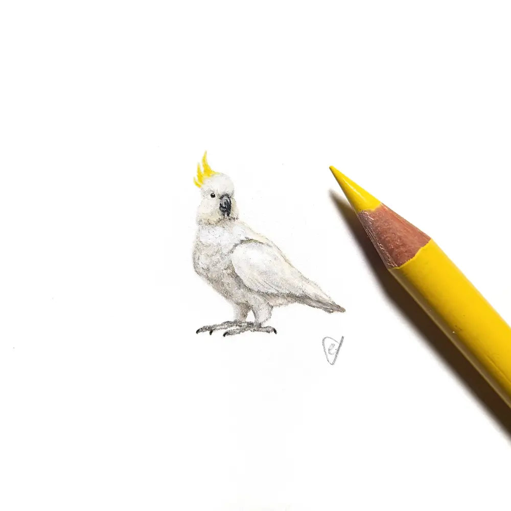 Sulphur crested cockatoo miniature #2300