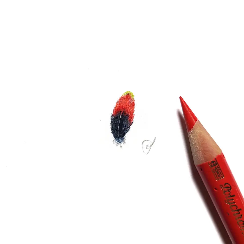 Regent parrot feather miniature #2302