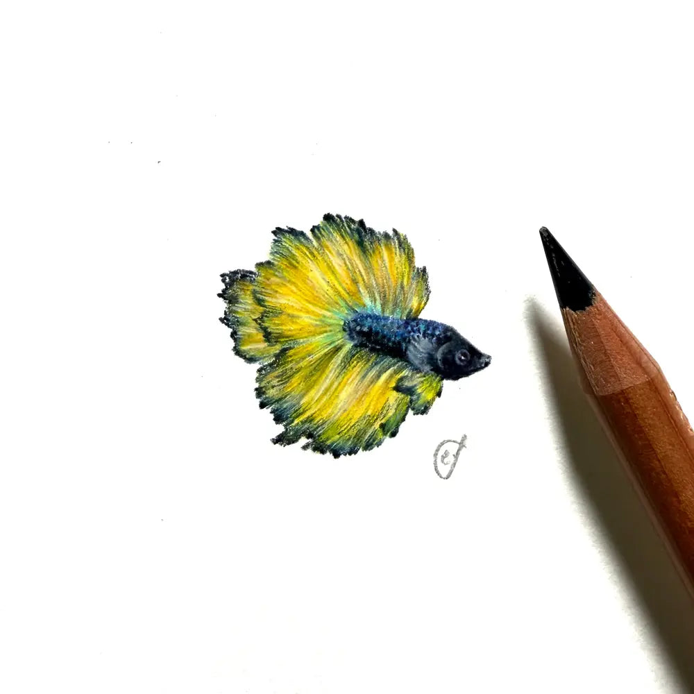 Siamese fighting fish miniature #2410