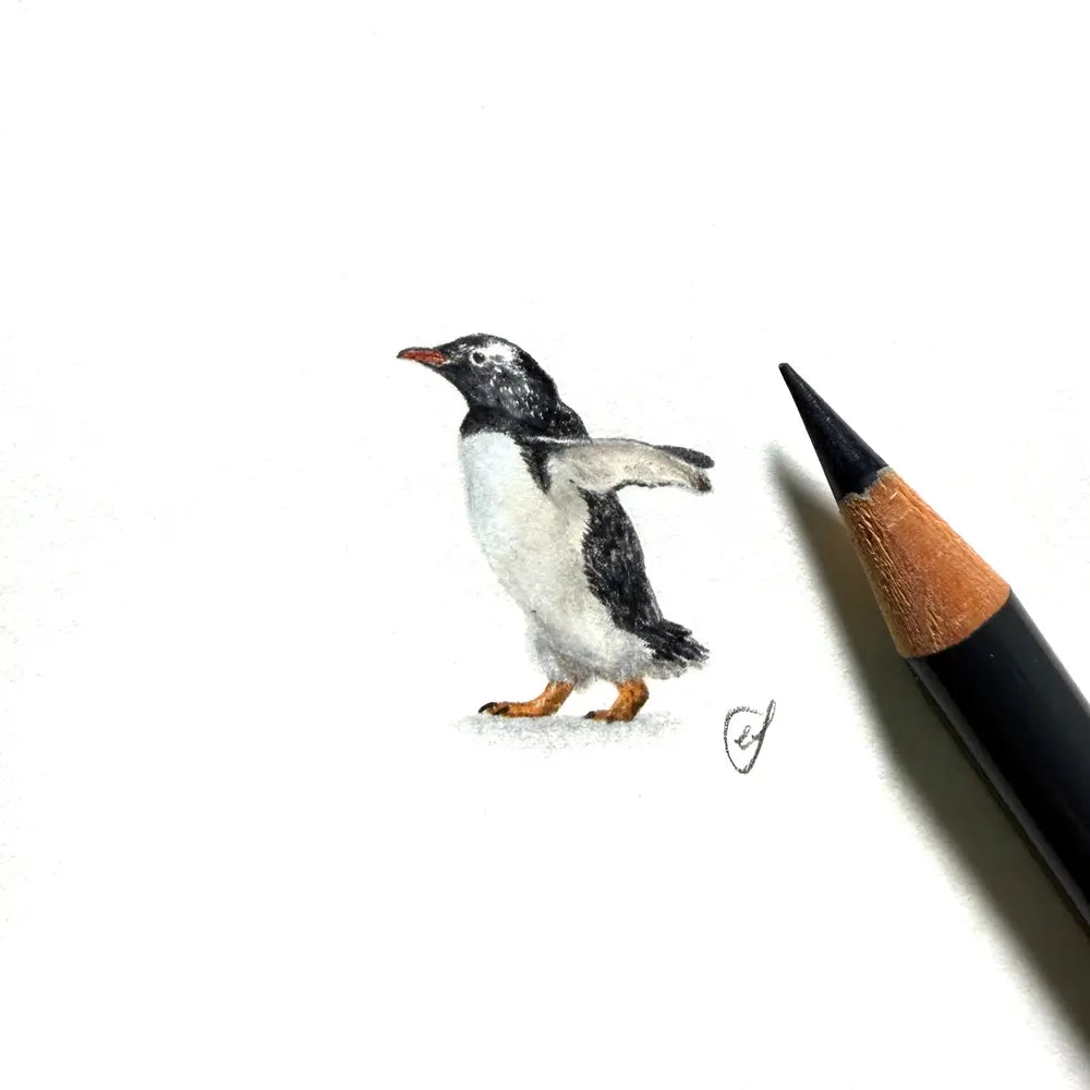 Gentoo penguin miniature #2418