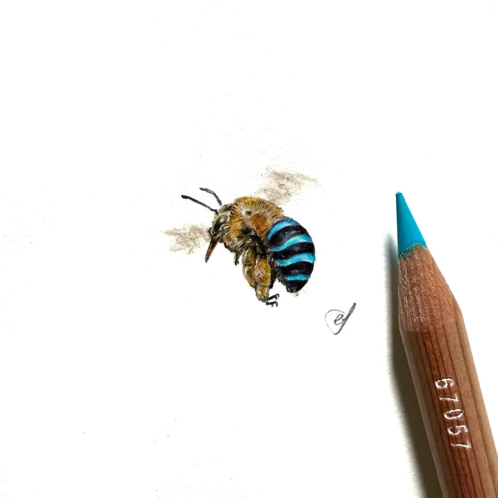 Blue-banded bee miniature #2461