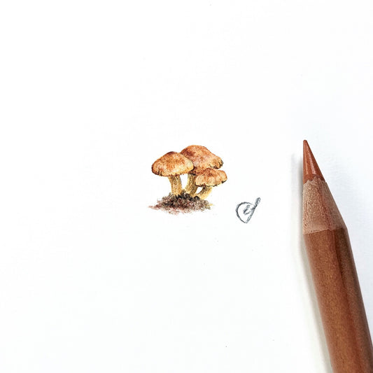 Mushroom