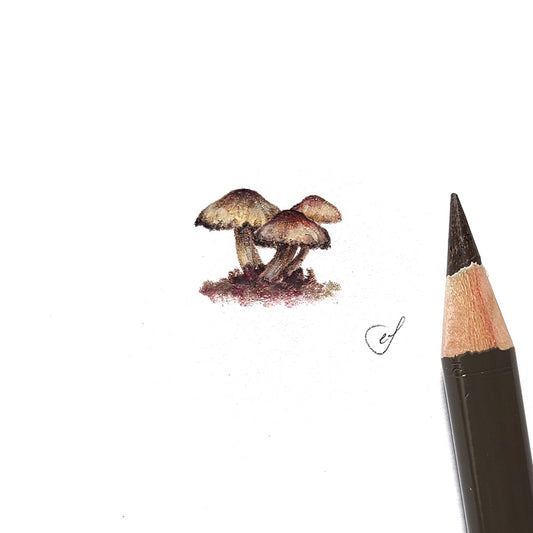 Mushroom