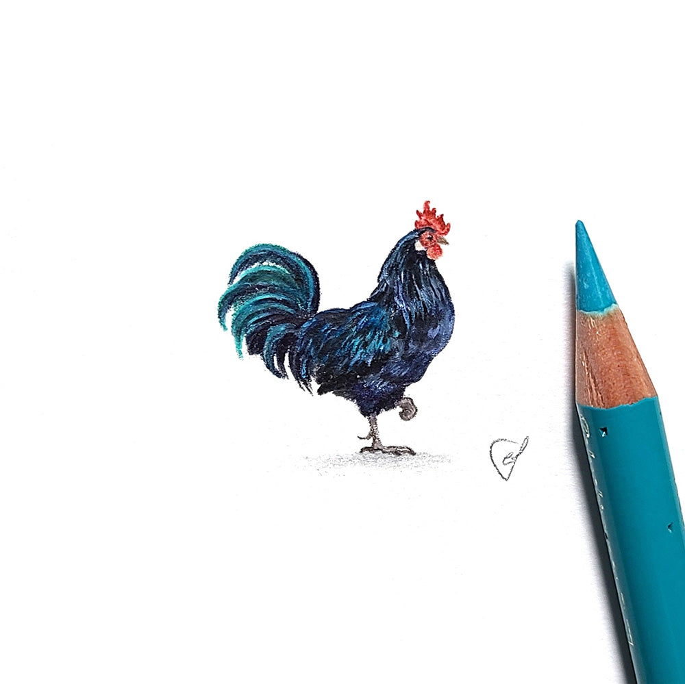 Rooster