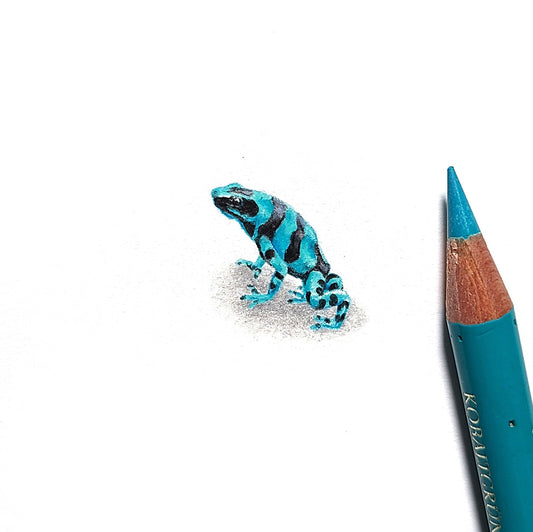 Poison dart frog