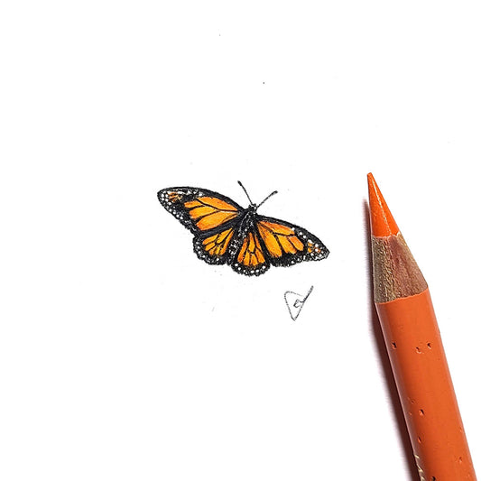 Monarch butterfly