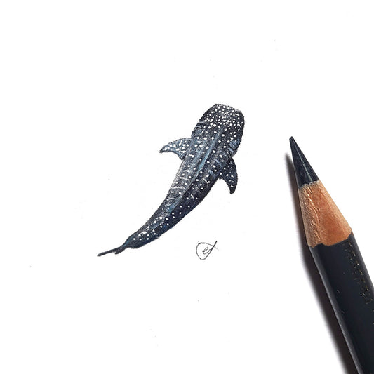 Whale shark