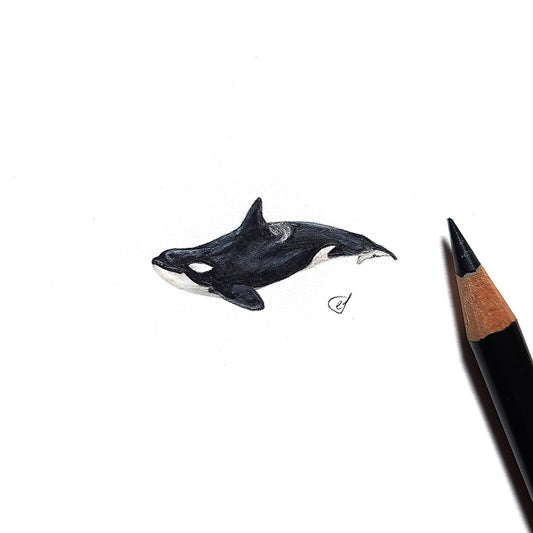 Orca