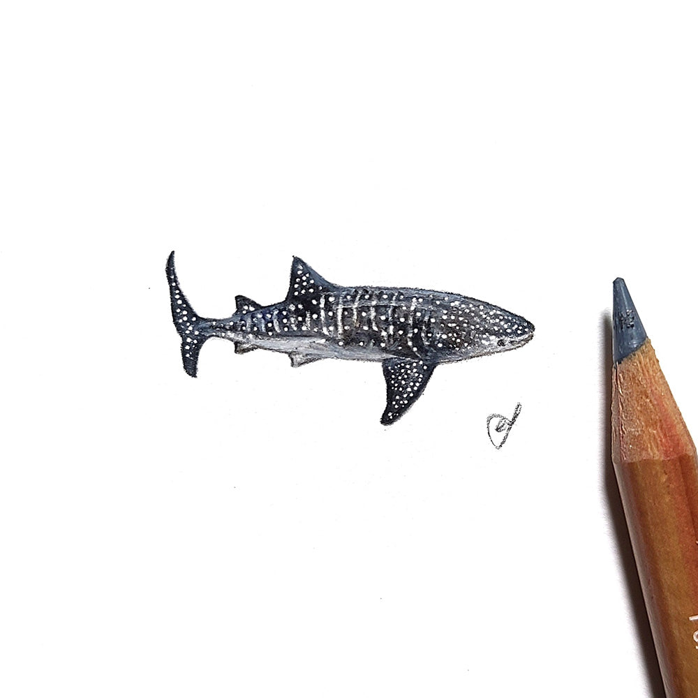 Whale shark