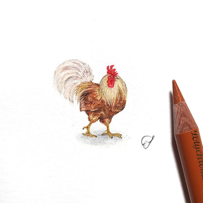 Rooster