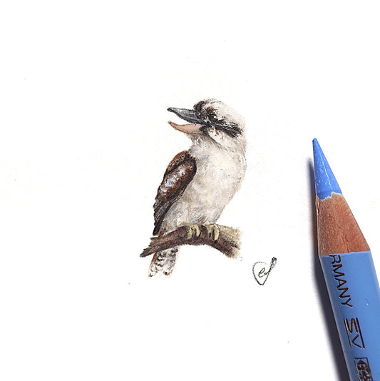 Laughing kookaburra