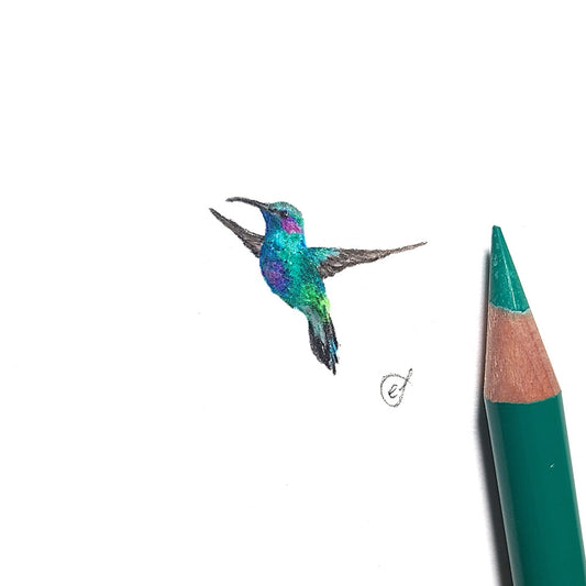 Hummingbird