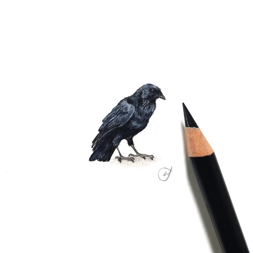 Common raven miniature #2342