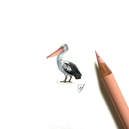 Australian pelican miniature #2344
