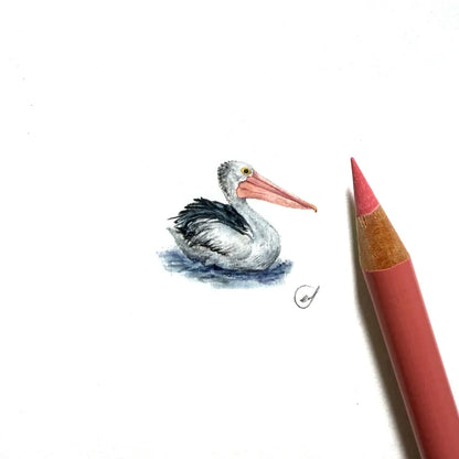 Australian pelican miniature #2347
