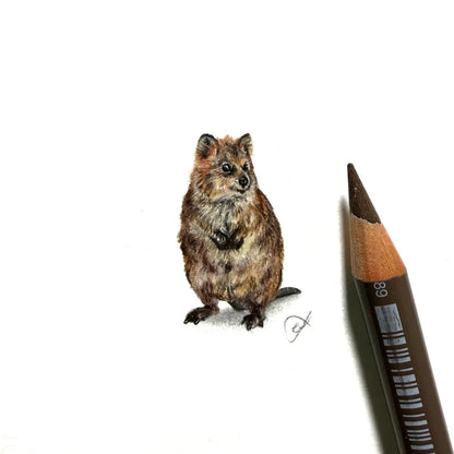 Quokka miniature #2460
