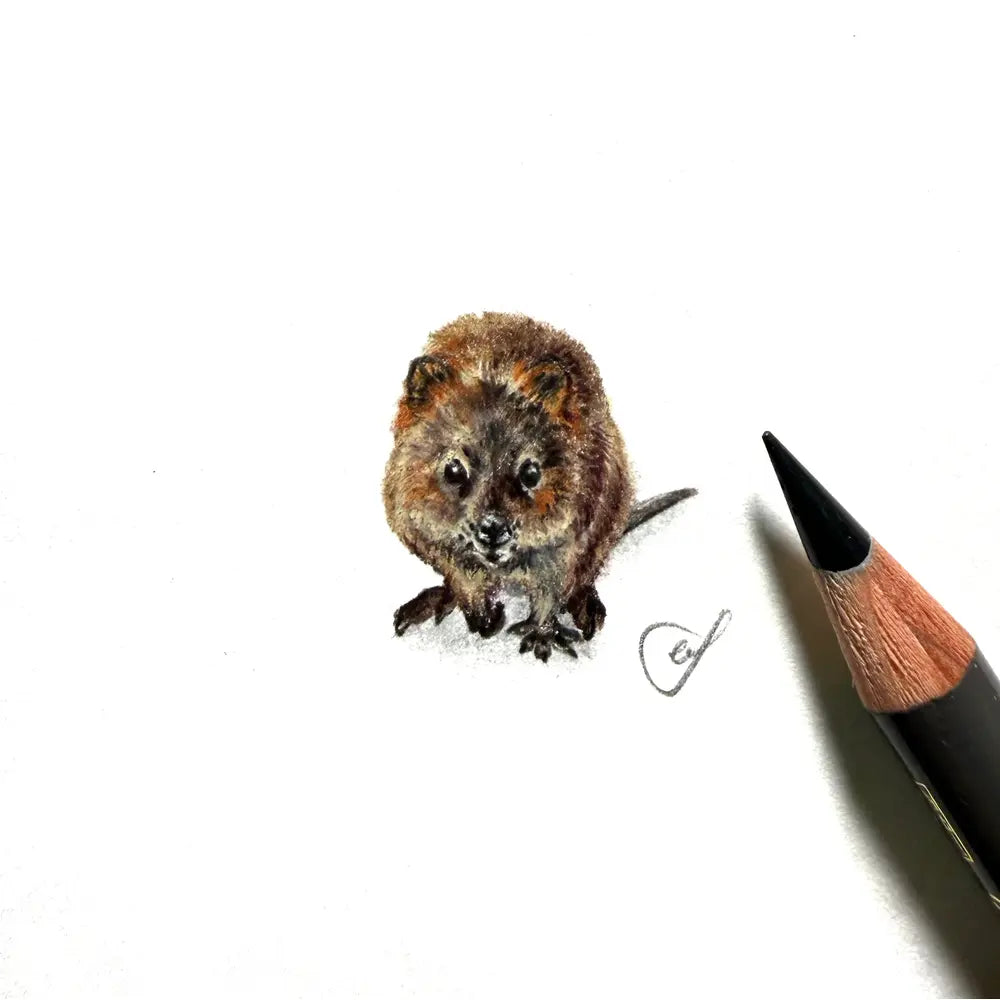 Quokka miniature #2468