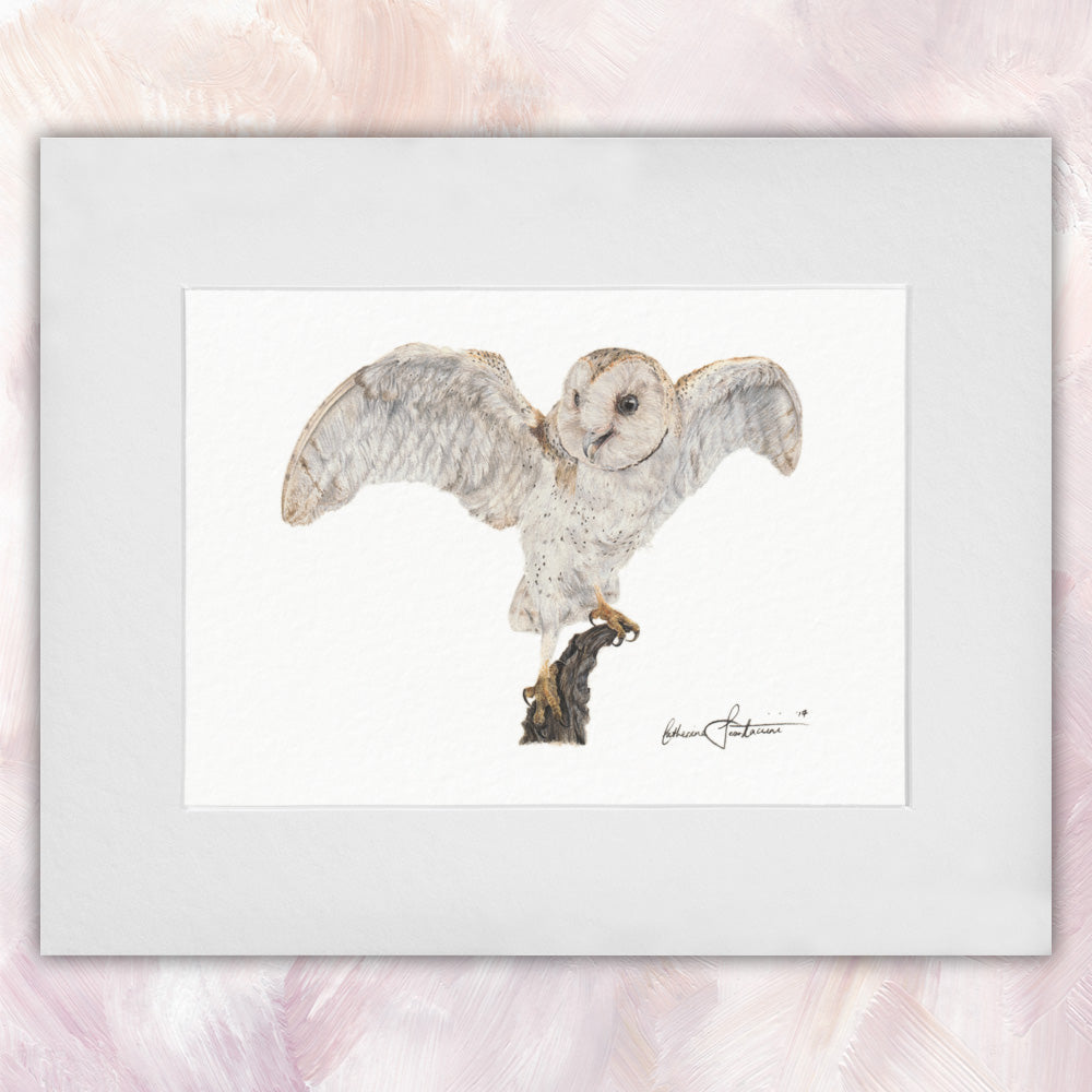 Barn Owl Original