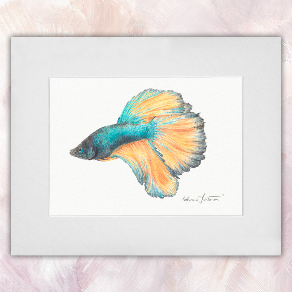 Betta Fish Original