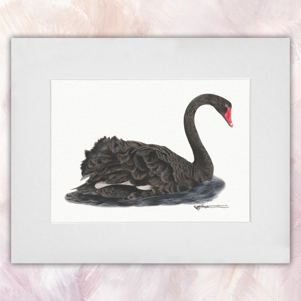 Black Swan