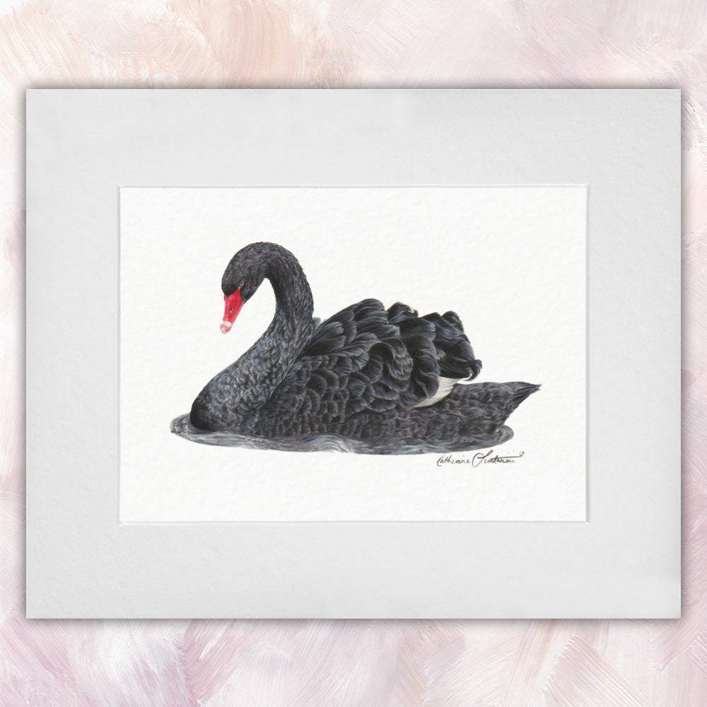 Black Swan