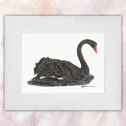 Black Swan Original