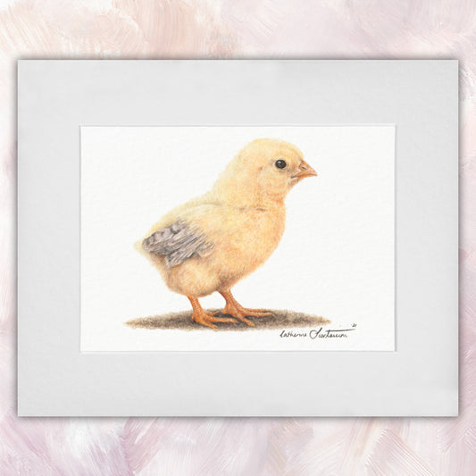 Chick