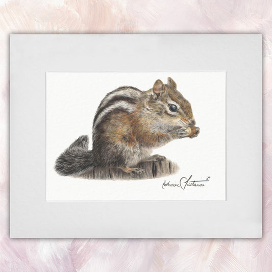 Chipmunk Original
