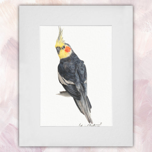 Cockatiel Original