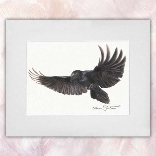 Common Raven Original