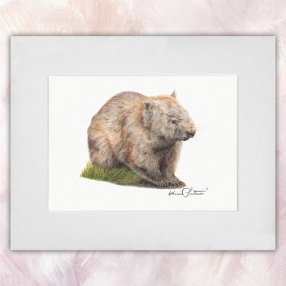 Common Wombat