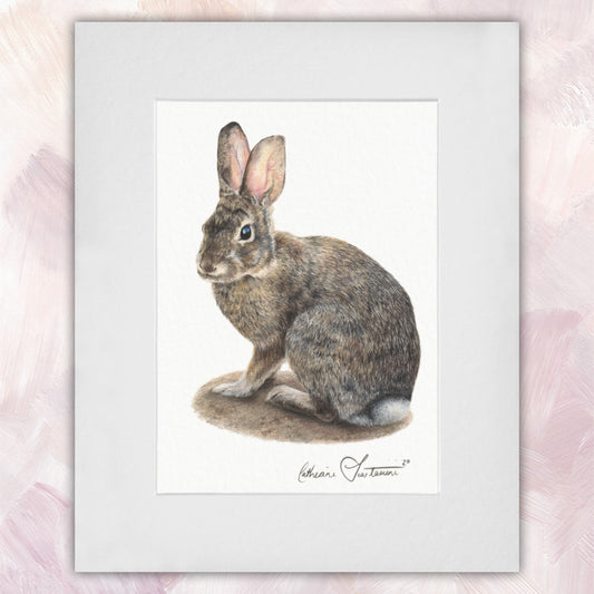 Cottontail Rabbit Original