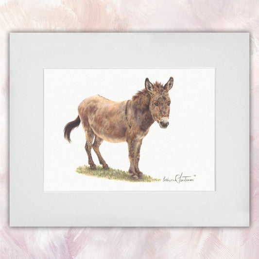 Donkey Original
