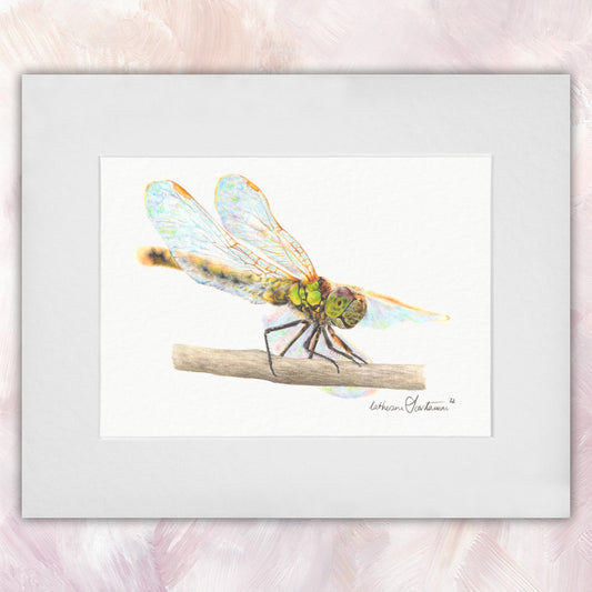 Dragonfly