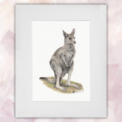 Eastern Grey Kangaroo