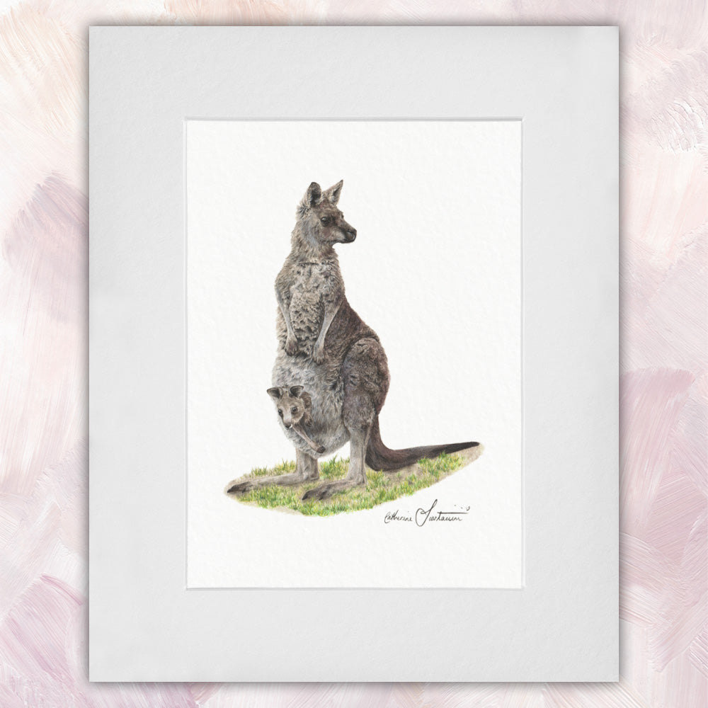 Eastern Grey Kangaroo & Joey