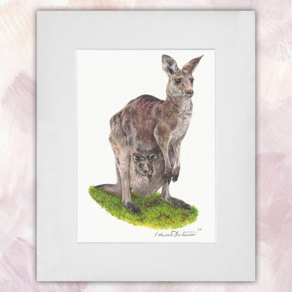 Eastern Grey Kangaroo