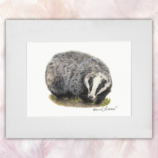 European Badger