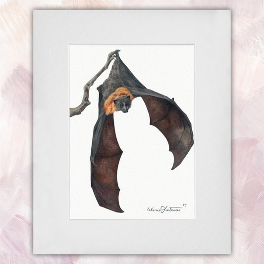 Flying Fox Original