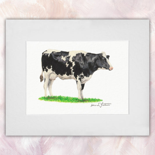 Friesian Cow