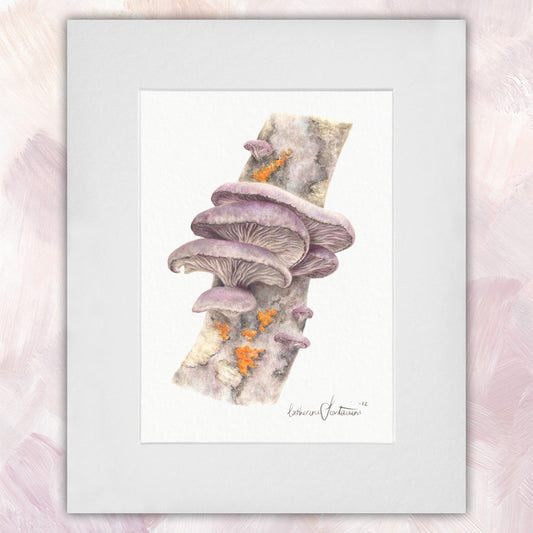 Fungus